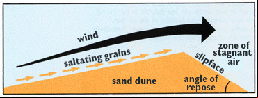 Diagram illustrating how dunes move through saltation