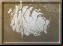 Mars Global Surveyor - South Pole